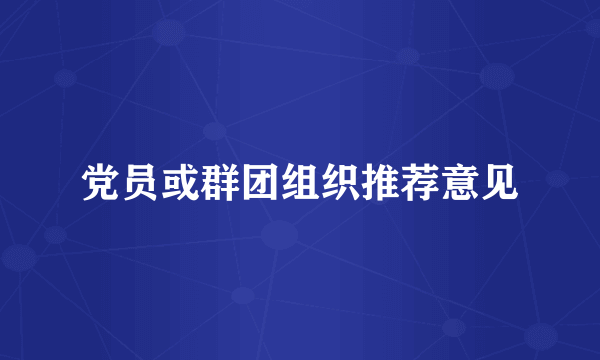 党员或群团组织推荐意见