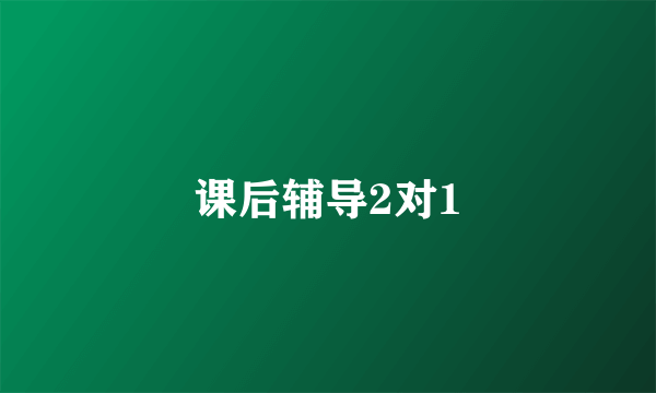 课后辅导2对1