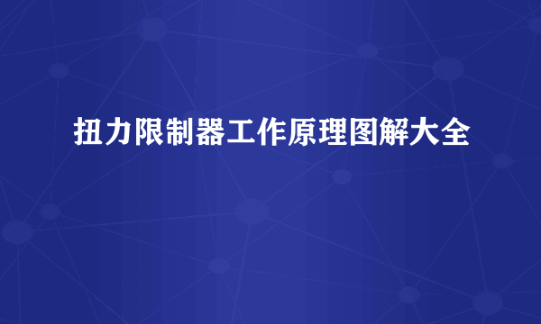 扭力限制器工作原理图解大全