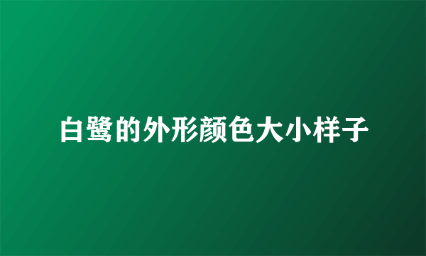 白鹭的外形颜色大小样子
