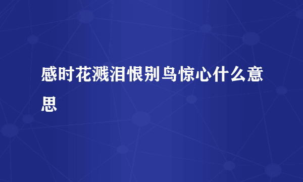 感时花溅泪恨别鸟惊心什么意思