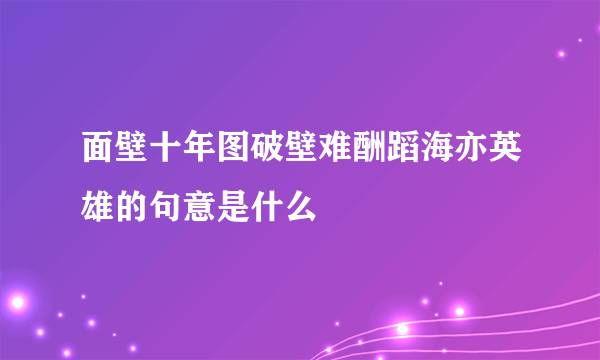 面壁十年图破壁难酬蹈海亦英雄的句意是什么