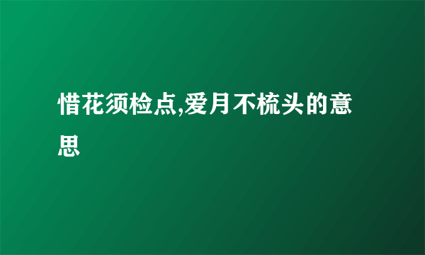 惜花须检点,爱月不梳头的意思