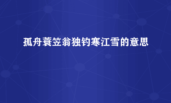 孤舟蓑笠翁独钓寒江雪的意思