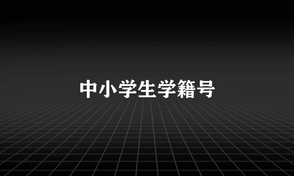中小学生学籍号