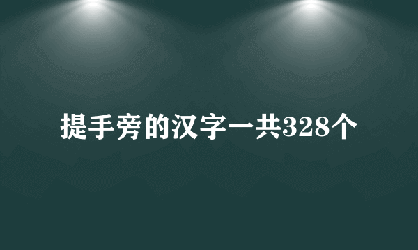提手旁的汉字一共328个
