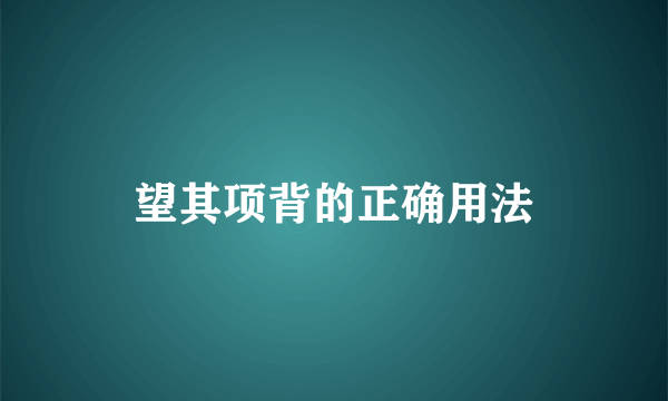 望其项背的正确用法