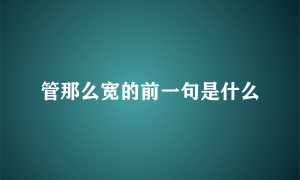 管那么宽的前一句是什么