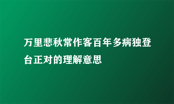 万里悲秋常作客百年多病独登台正对的理解意思