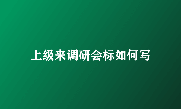 上级来调研会标如何写