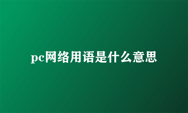 pc网络用语是什么意思