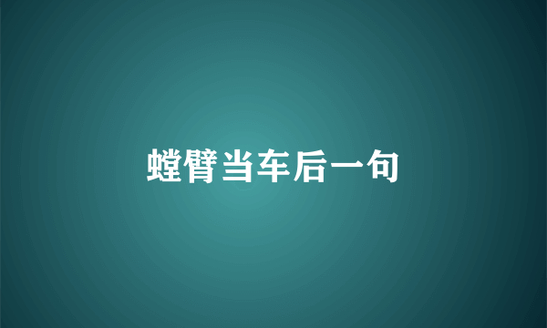 螳臂当车后一句