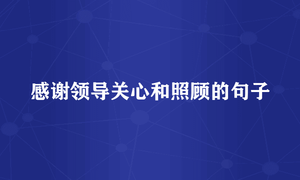 感谢领导关心和照顾的句子