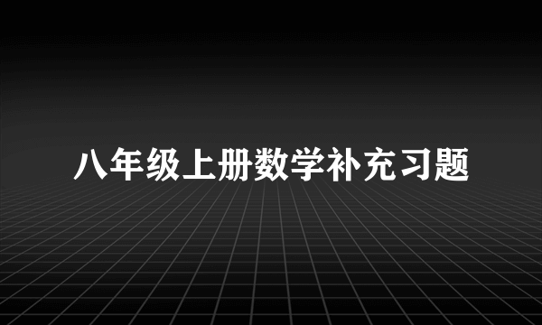 八年级上册数学补充习题