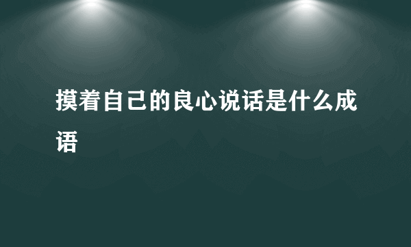 摸着自己的良心说话是什么成语