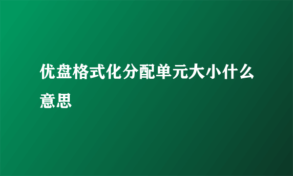优盘格式化分配单元大小什么意思