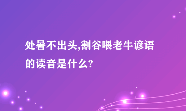 处暑不出头,割谷喂老牛谚语的读音是什么?