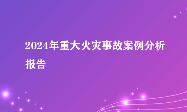 2024年重大火灾事故案例分析报告