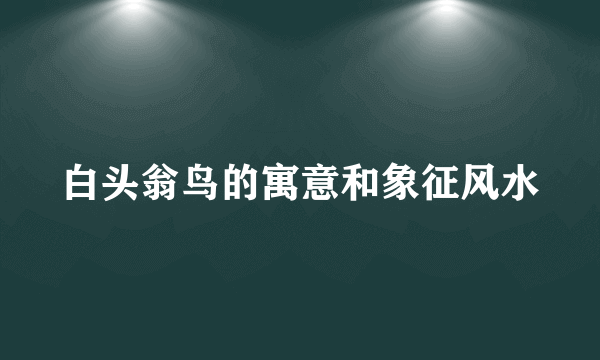 白头翁鸟的寓意和象征风水