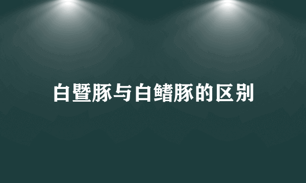 白暨豚与白鳍豚的区别
