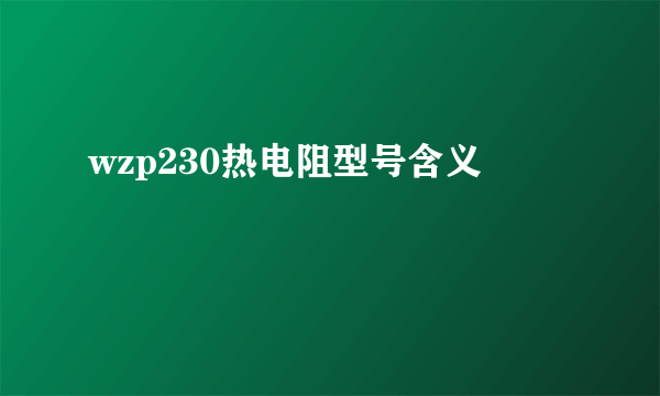 wzp230热电阻型号含义