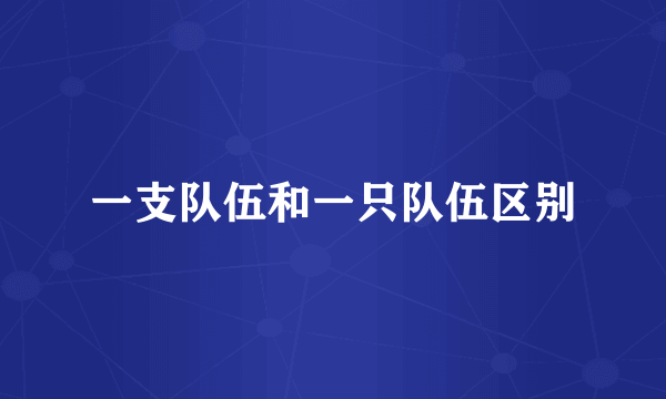 一支队伍和一只队伍区别