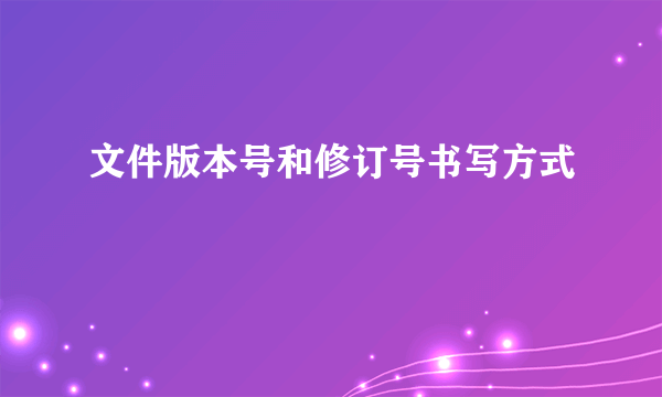 文件版本号和修订号书写方式