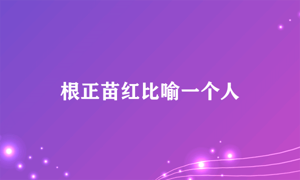 根正苗红比喻一个人
