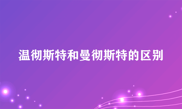 温彻斯特和曼彻斯特的区别