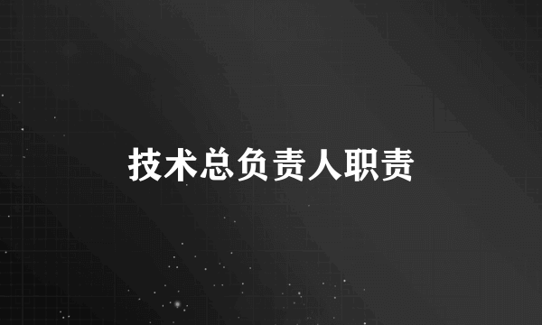 技术总负责人职责