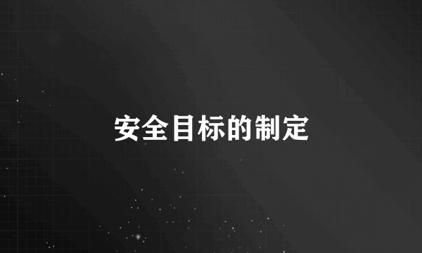 安全目标的制定