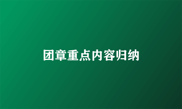 团章重点内容归纳
