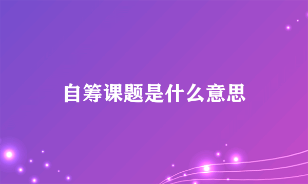 自筹课题是什么意思