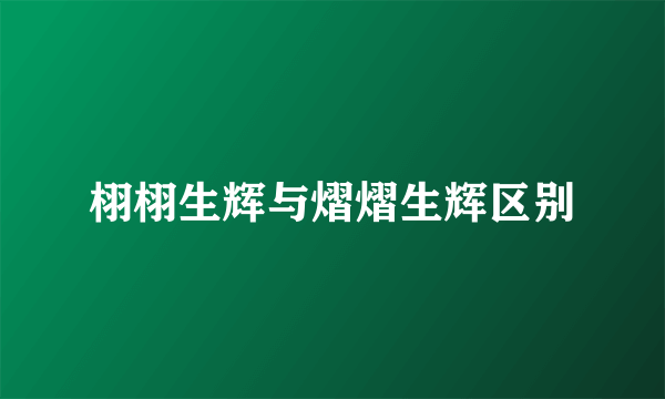 栩栩生辉与熠熠生辉区别