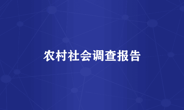 农村社会调查报告