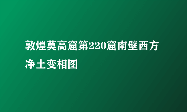 敦煌莫高窟第220窟南壁西方净土变相图