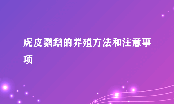 虎皮鹦鹉的养殖方法和注意事项