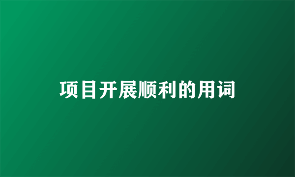 项目开展顺利的用词