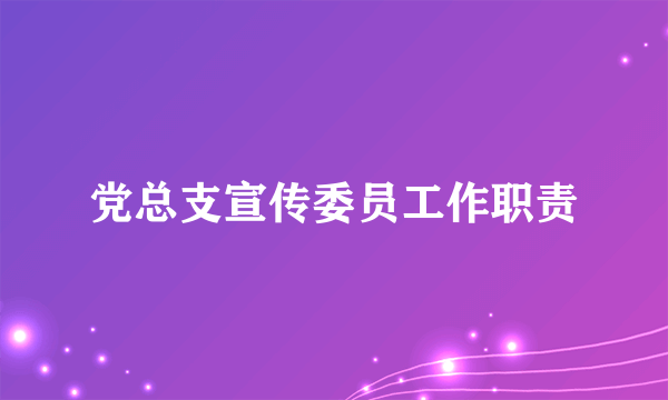 党总支宣传委员工作职责