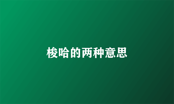 梭哈的两种意思