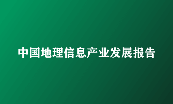中国地理信息产业发展报告