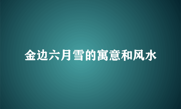 金边六月雪的寓意和风水