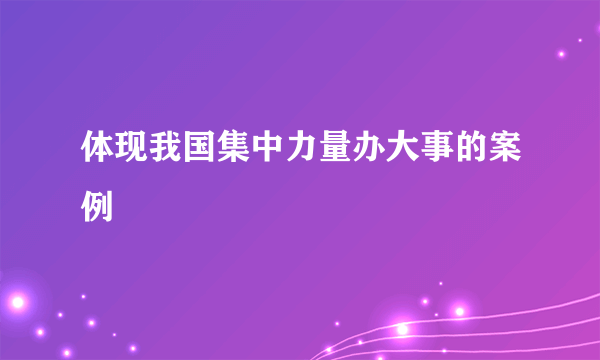 体现我国集中力量办大事的案例