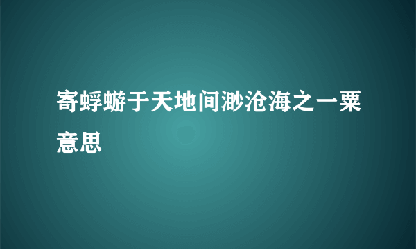 寄蜉蝣于天地间渺沧海之一粟意思