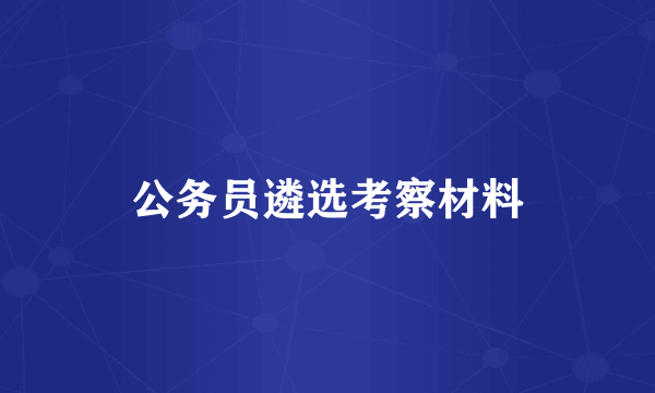 公务员遴选考察材料