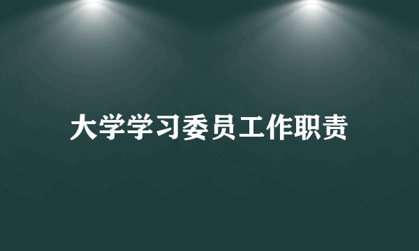 大学学习委员工作职责