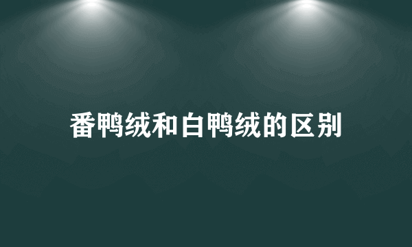 番鸭绒和白鸭绒的区别