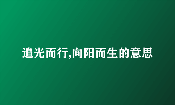 追光而行,向阳而生的意思