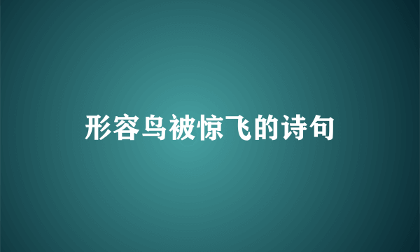 形容鸟被惊飞的诗句