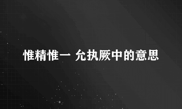 惟精惟一 允执厥中的意思